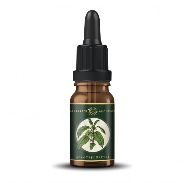 Organic spagyric Nettle tincture